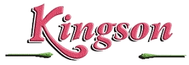 kingson logo