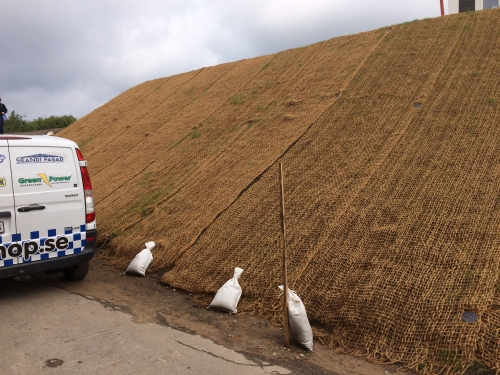 Kokosv&auml;v p&aring; vall