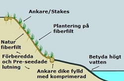 Kokosv&auml;v kan anv&auml;ndas utrullad som ankare f&ouml;r mark och v&auml;xtlighet